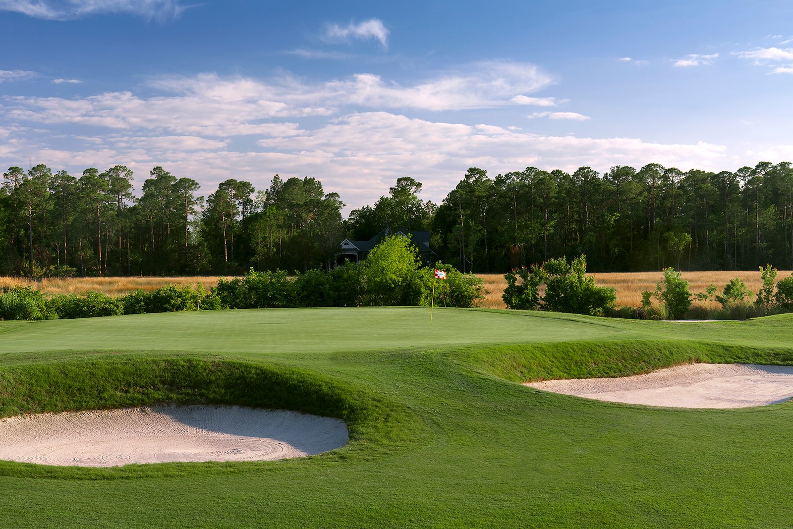 A golf course with sand traps and trees in the background